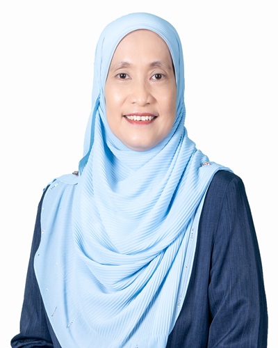 Prof. Ir. Dr. Mariatti Jaafar @ Mustapha
