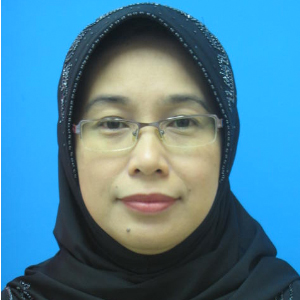 Assoc.Prof.Ir.Dr. Hayati Abdullah